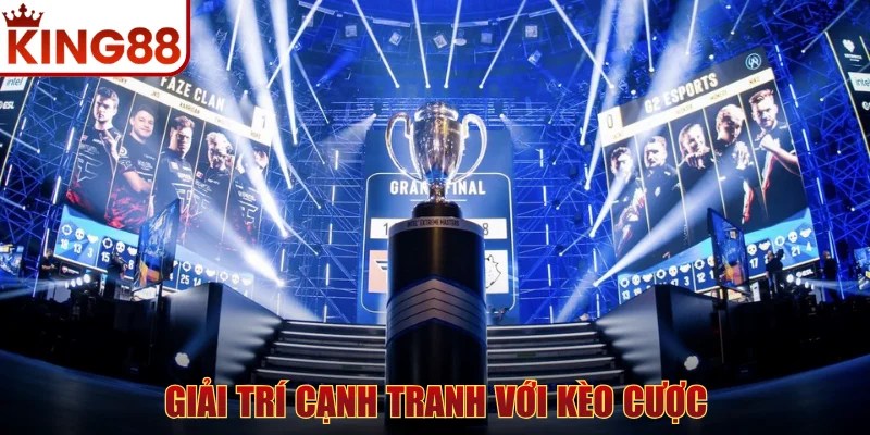 Giải trí cạnh tranh với kèo cược cập nhật liên tục